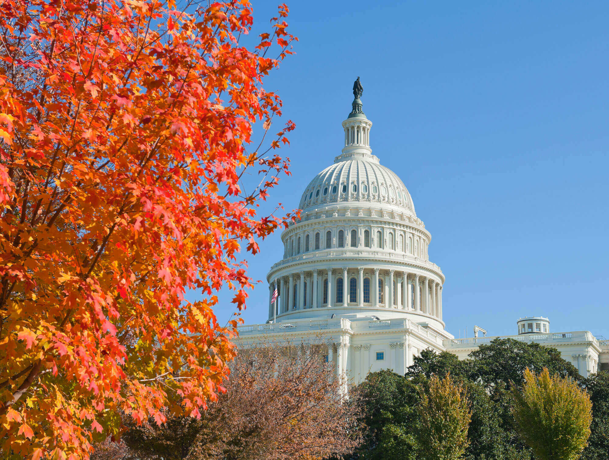 APA Mental Health Services Conference 2023 American Association for